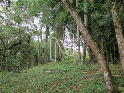 lote-atalaia  
