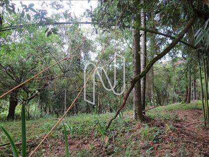lote-atalaia  