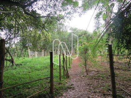 lote-atalaia  