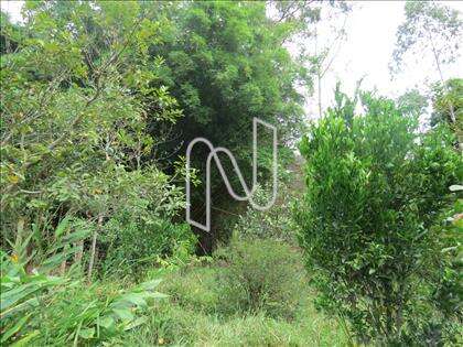 lote-atalaia  