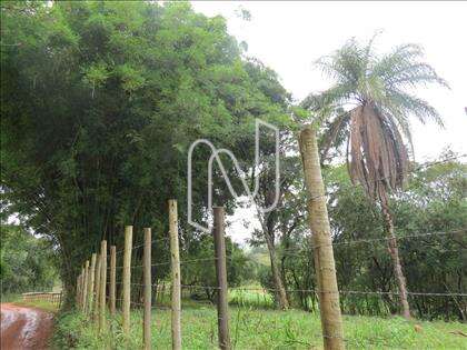 lote-atalaia  