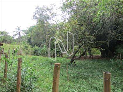  lote-atalaia 