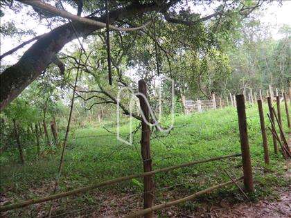 lote-atalaia  