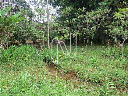 lote-atalaia  