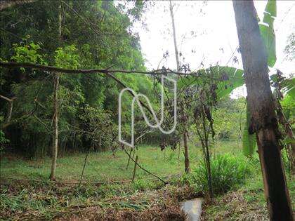 lote-atalaia  
