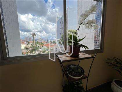 apartamento-04-quartos-caiçara 