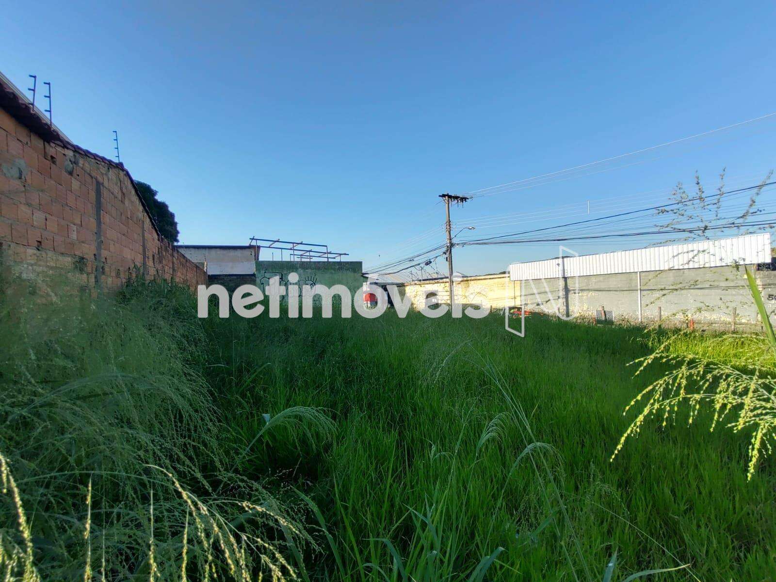 Lote-Terreno-JardimMontanhês 