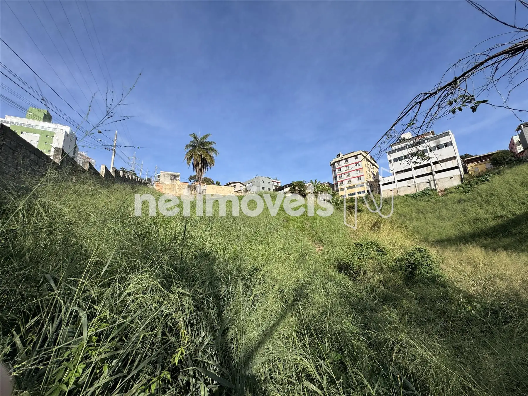 Lote 25