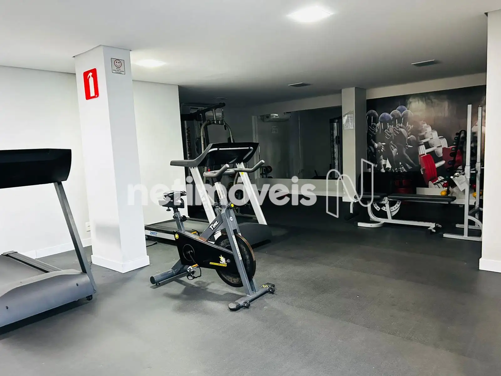 academia