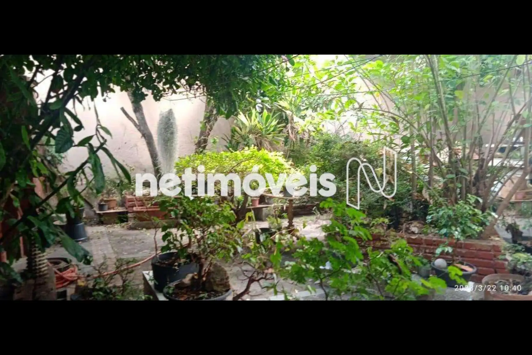 Jardim