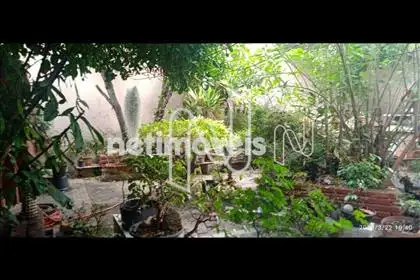Jardim