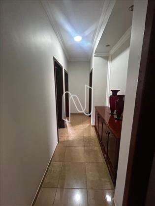 CIRCULAÇÃO