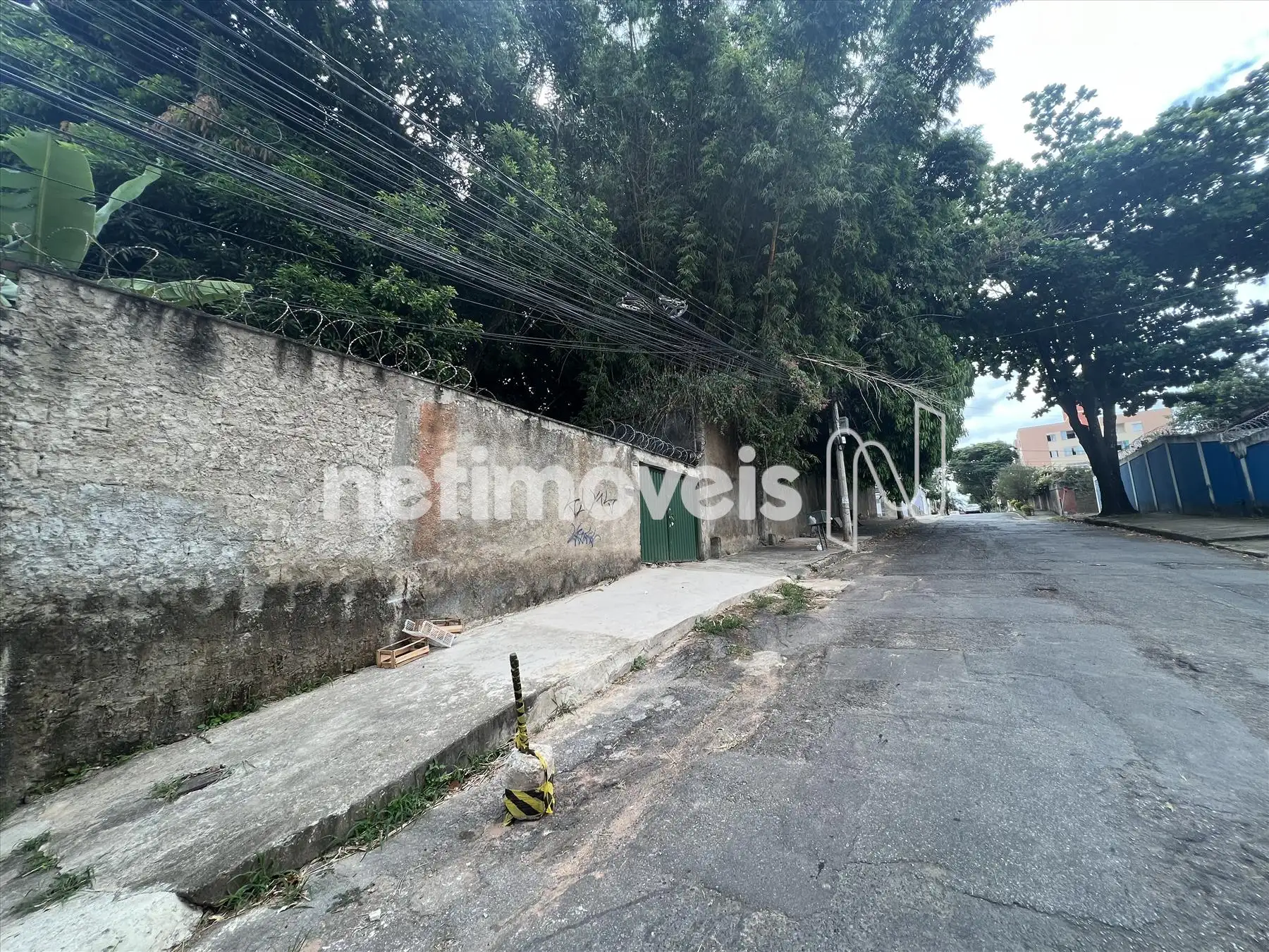 Frente Rua Professor Almeida Cunha  ângulo 1