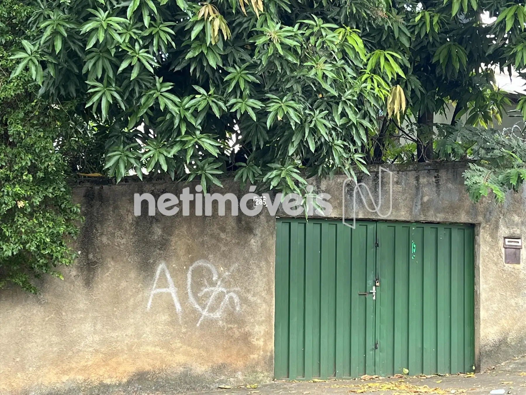 Frente Rua Professor Almeida Cunha ângulo 3
