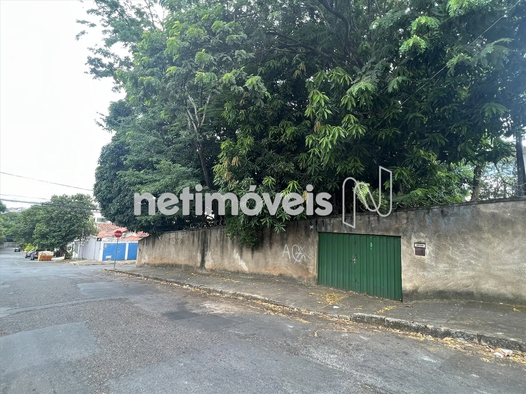 Frente Rua Maestro Francisco Flores ângulo 2