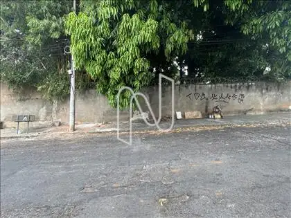 Frente Rua Professor Almeida Cunha ângulo 2