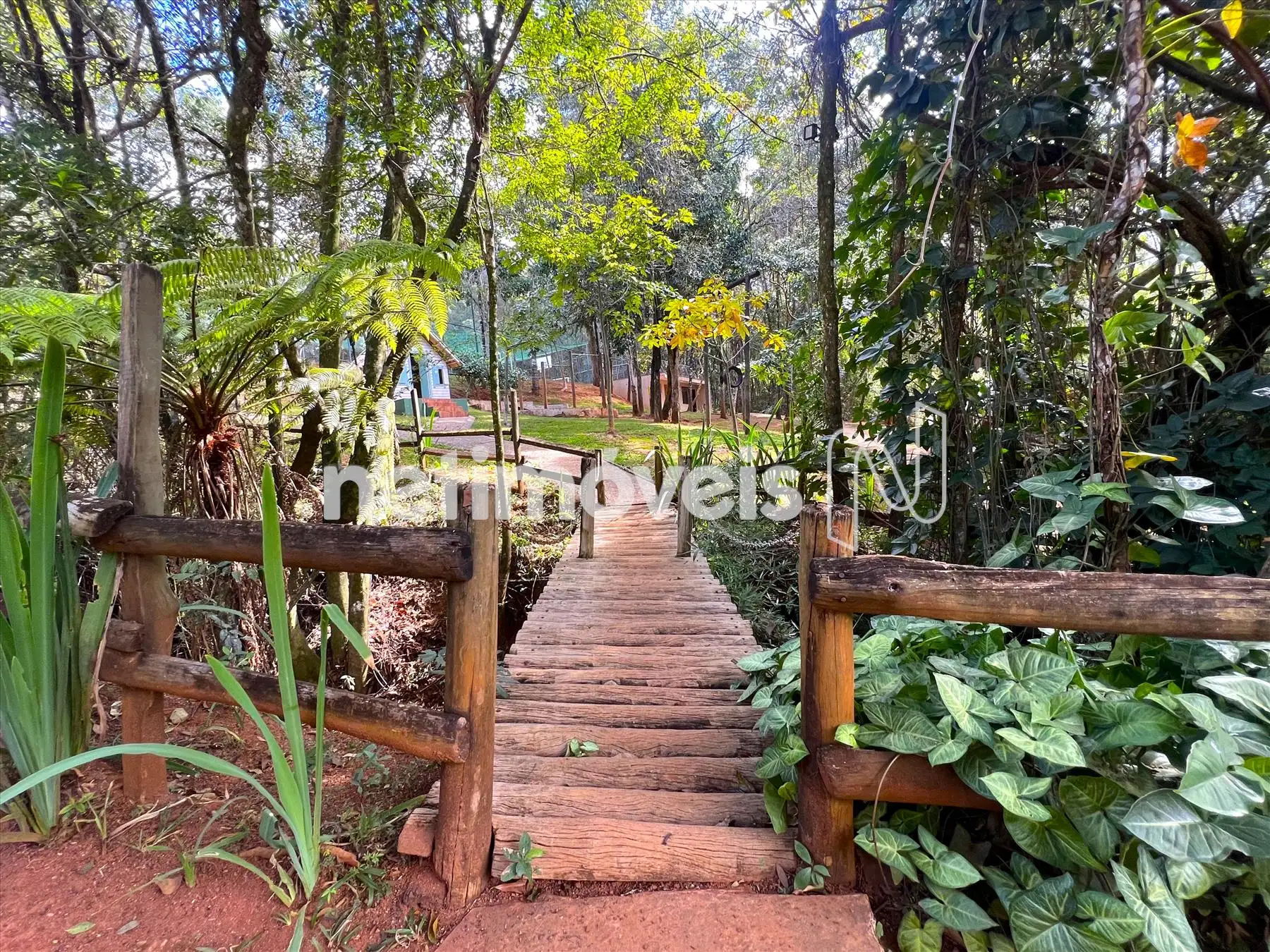 Bosque/Área de convivência ângulo 3