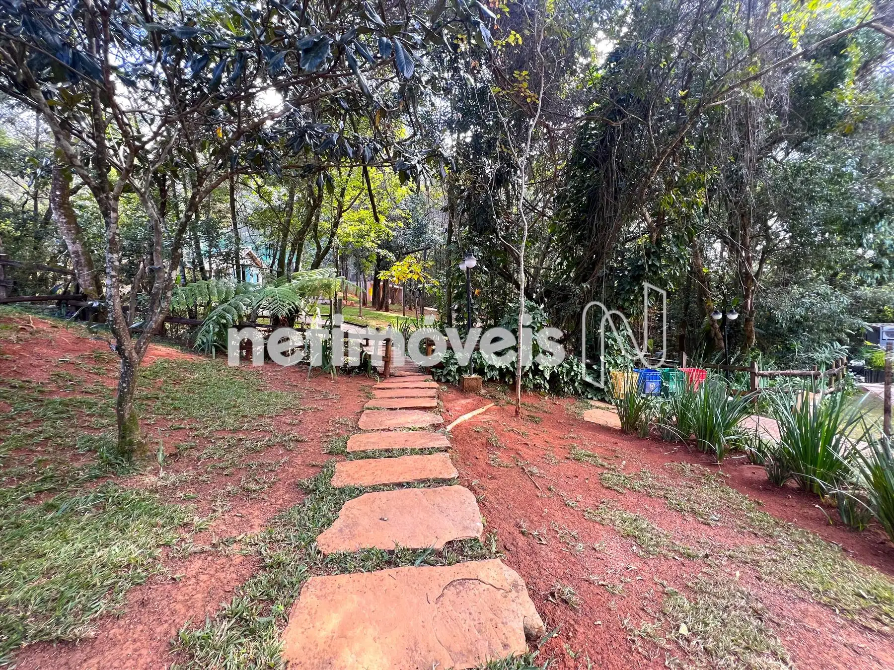 Bosque/Área de convivência ângulo 2