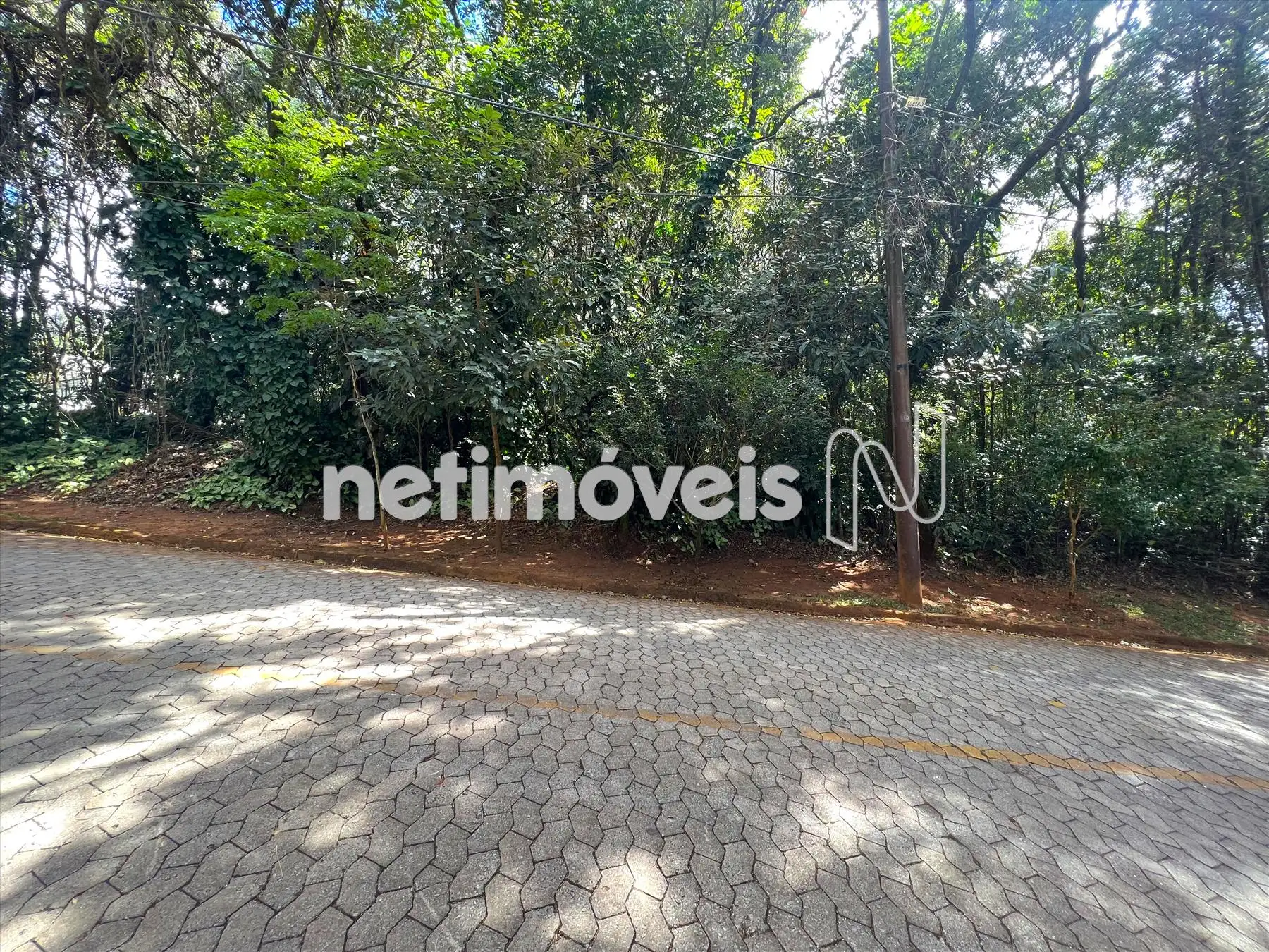 Alameda das Palmeiras ângulo 3