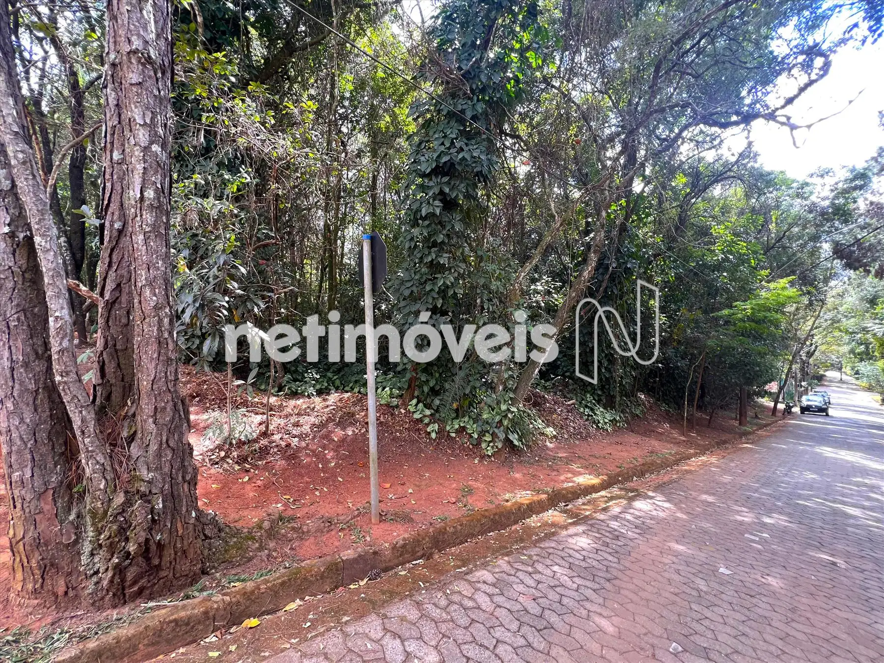 Alameda das Palmeiras ângulo 2