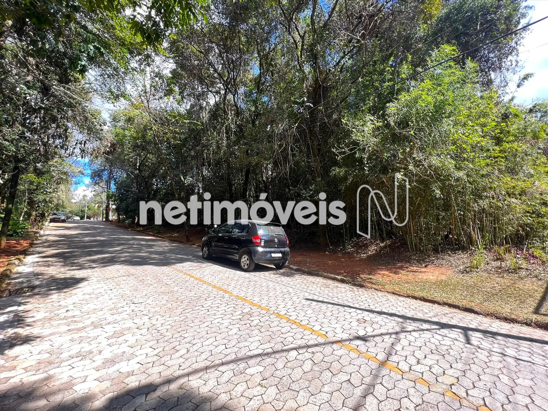 Alameda das Palmeiras ângulo 5