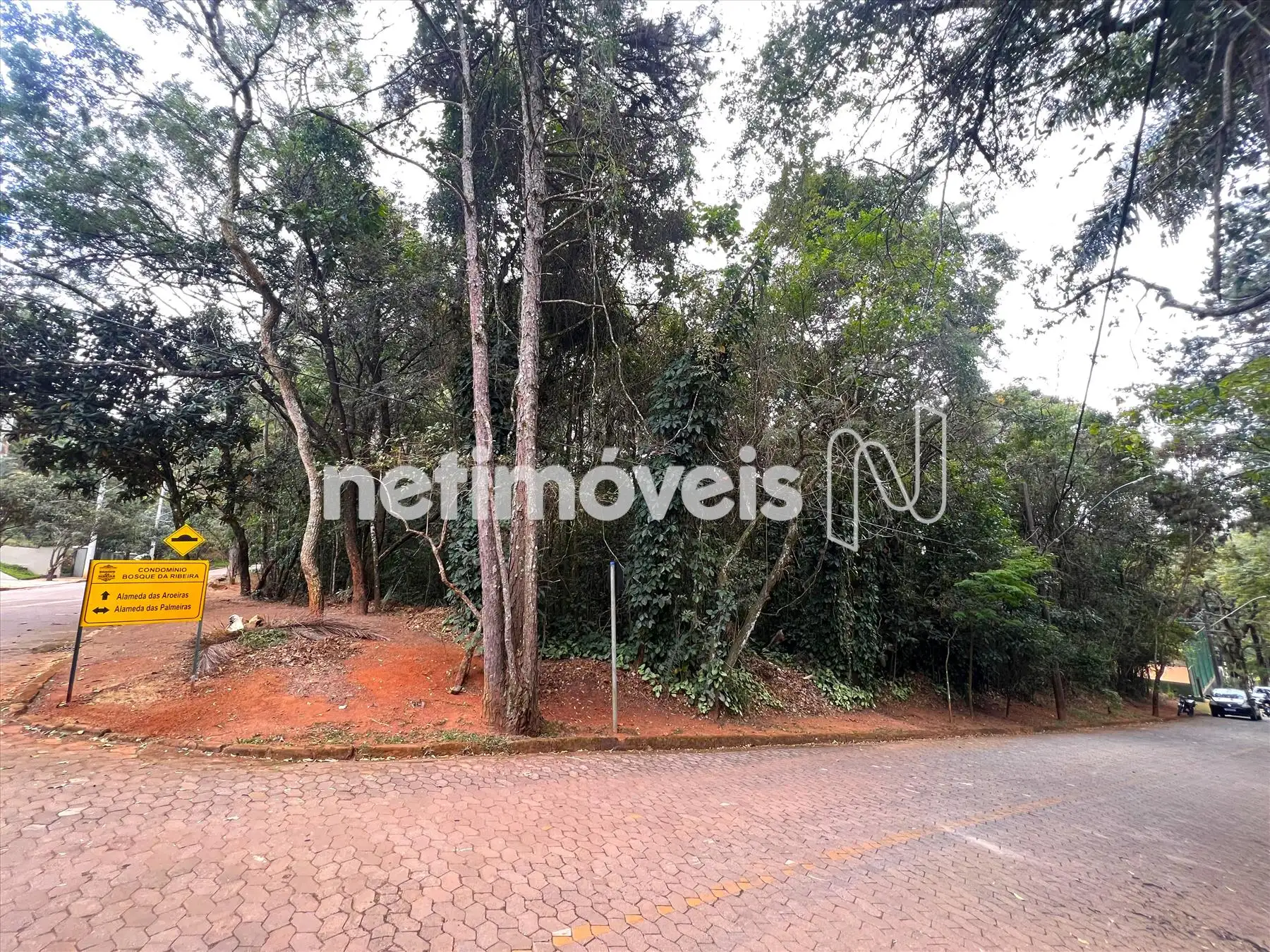 Alameda das Palmeiras ângulo 1