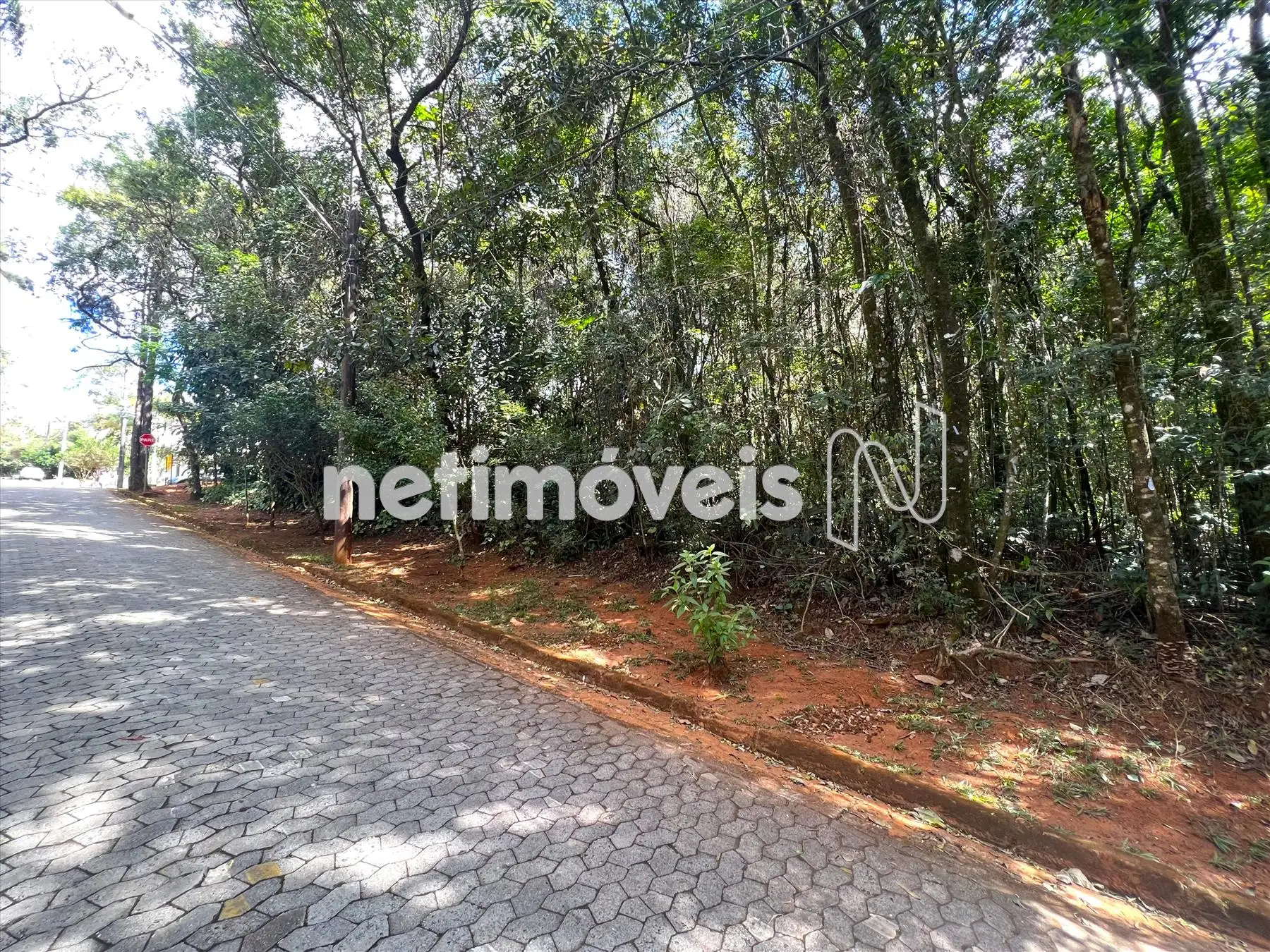 Alameda das Palmeiras ângulo 4