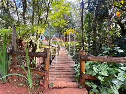 Bosque/Área de convivência ângulo 3