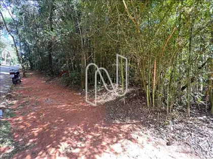 Alameda das Aroeiras ângulo 2