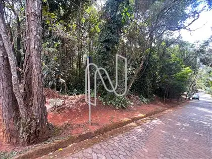 Alameda das Palmeiras ângulo 2