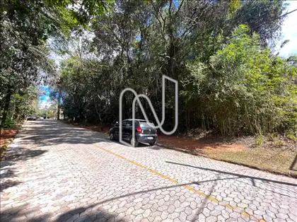 Alameda das Palmeiras ângulo 5