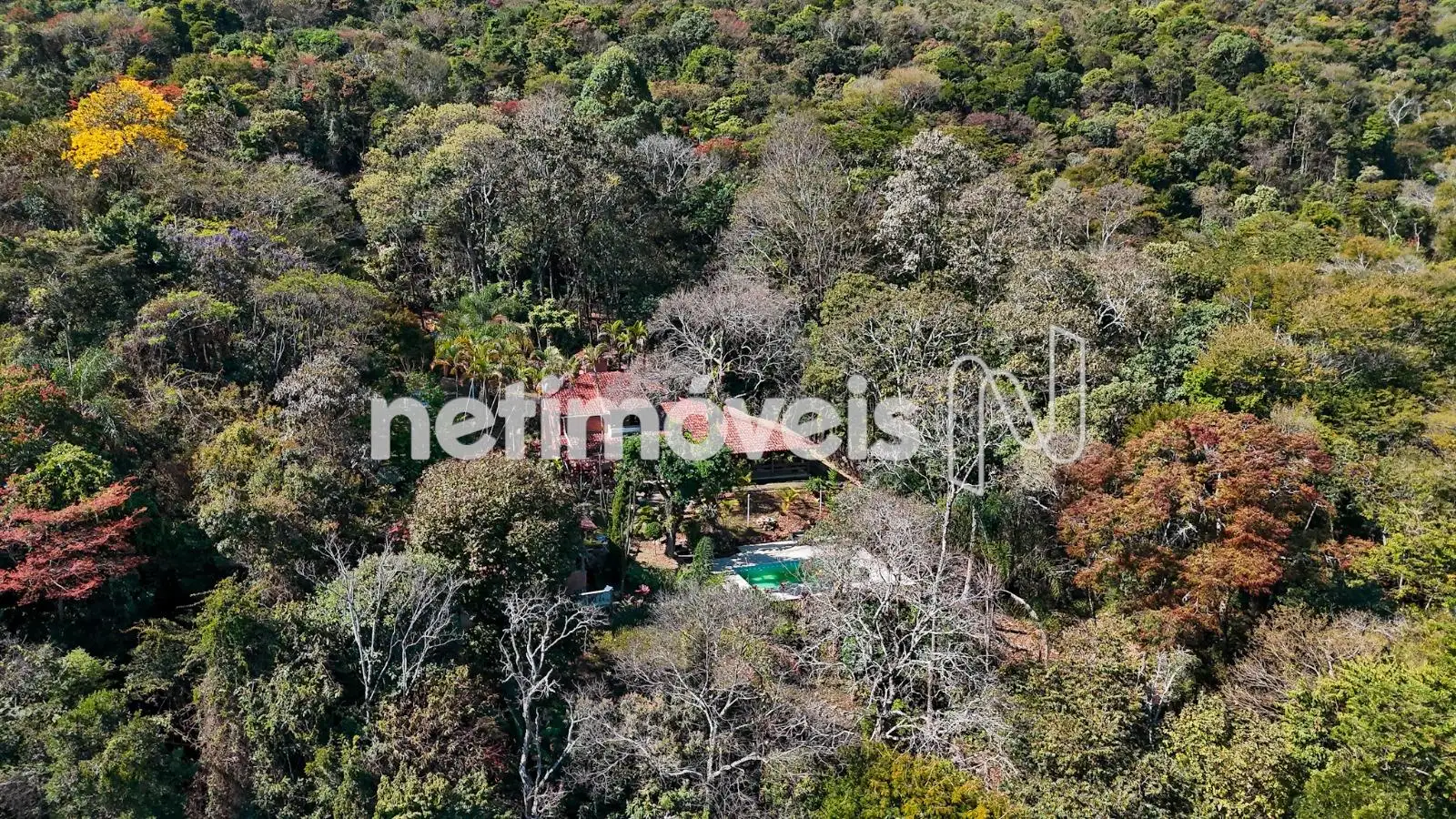 Casa rodeada de verde