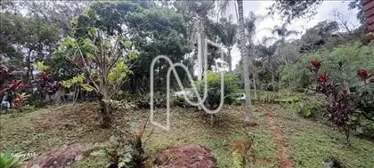 3º Lote