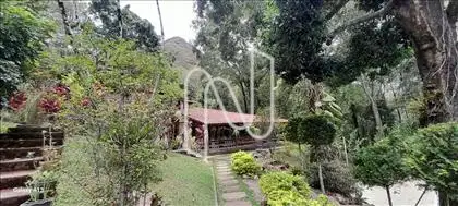 Muito verde