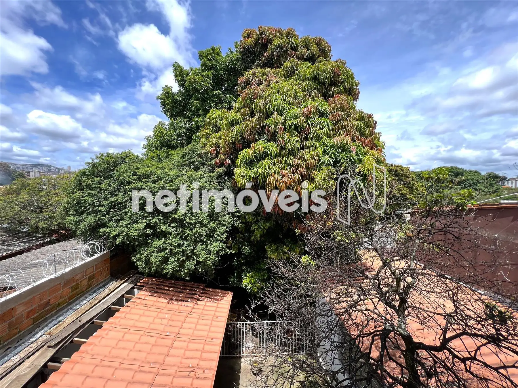 Bosque nos fundos (vista dos quartos)