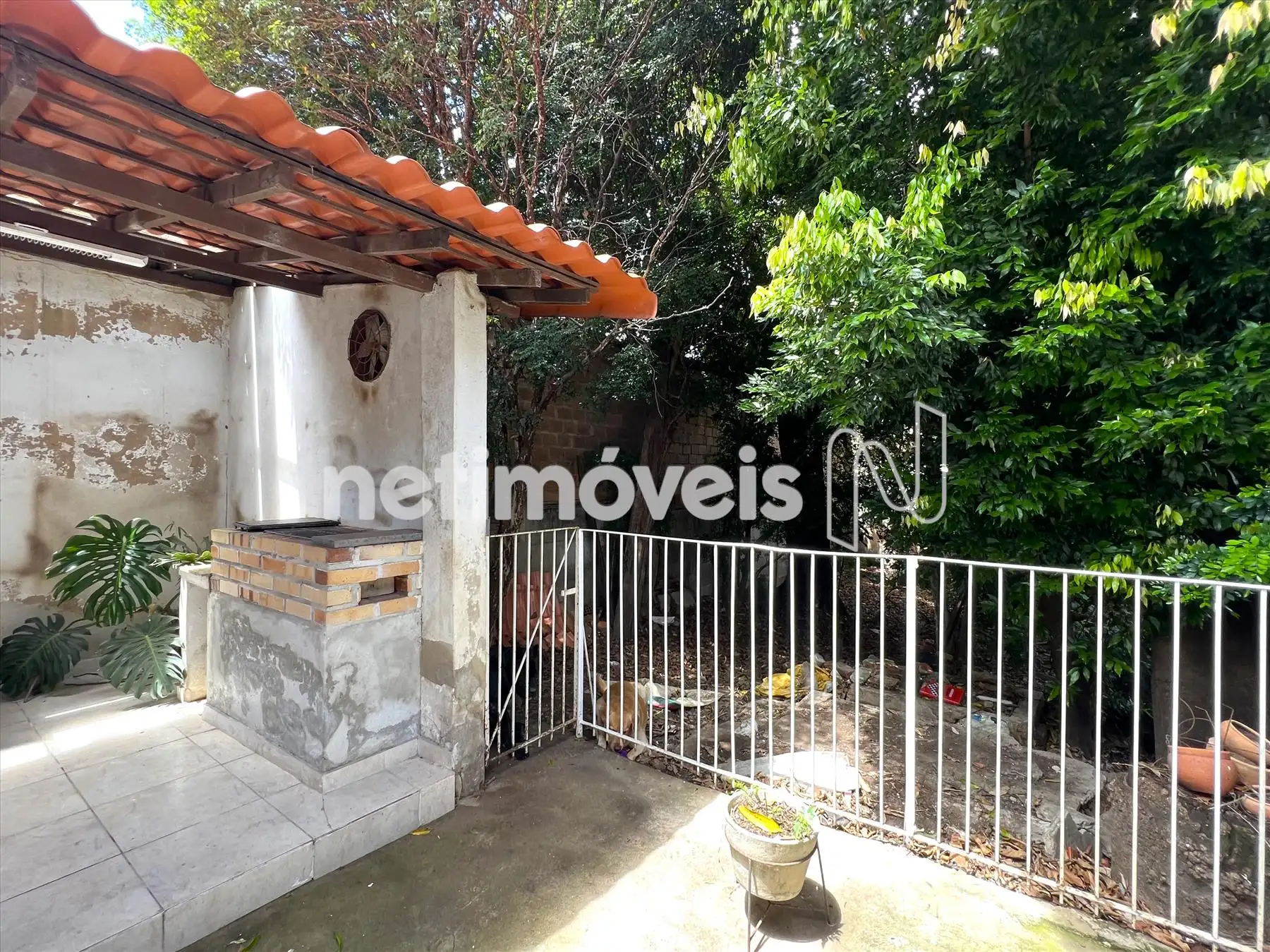 Área gourmet/Churrasqueira e bosque/pomar