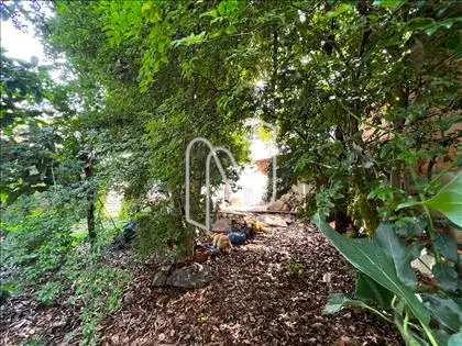  Bosque/Pomar ângulo 2