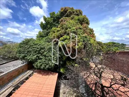 Bosque nos fundos (vista dos quartos) 