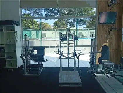 Academia