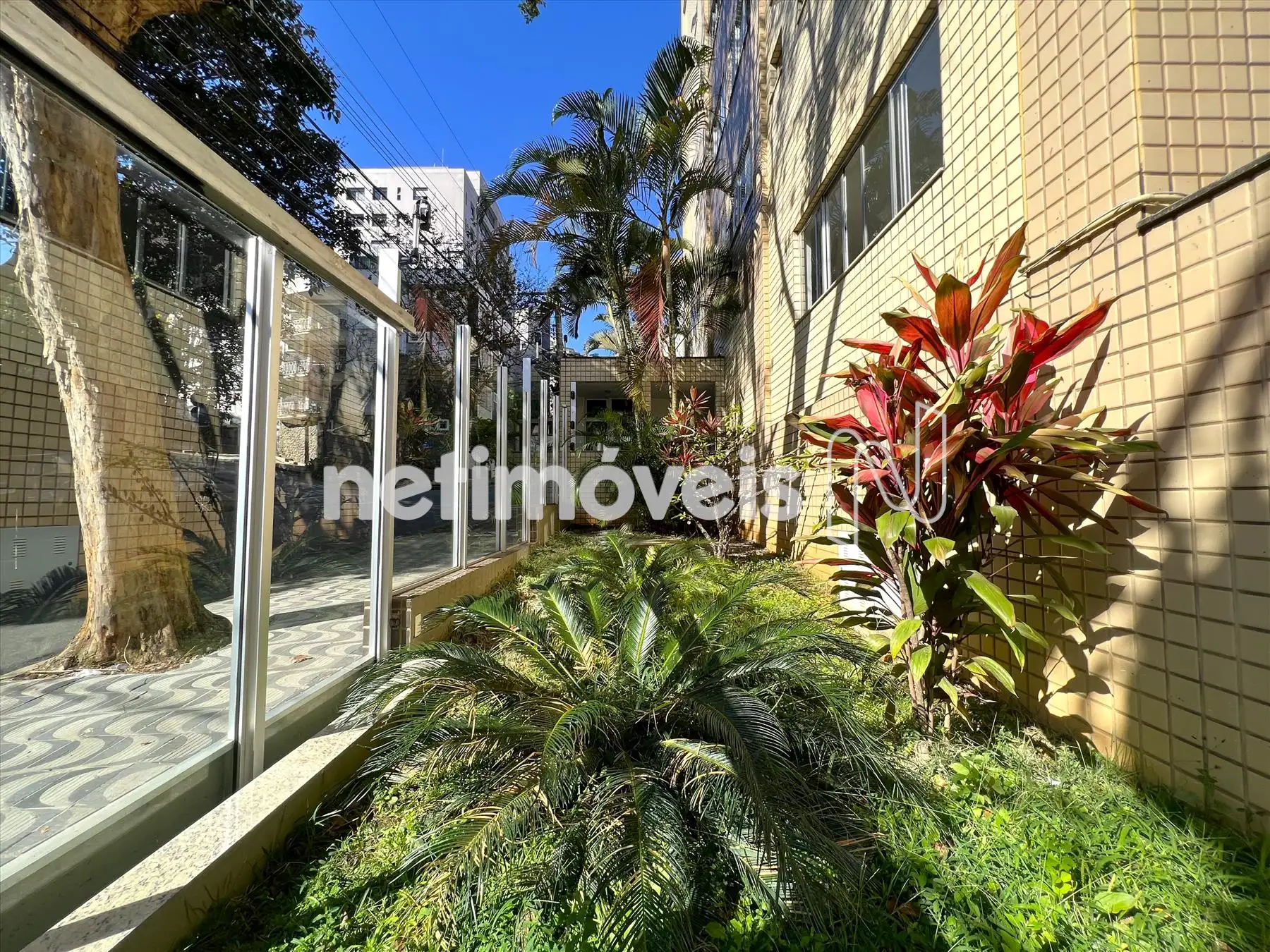 Jardim frontal