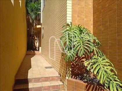 Jardim