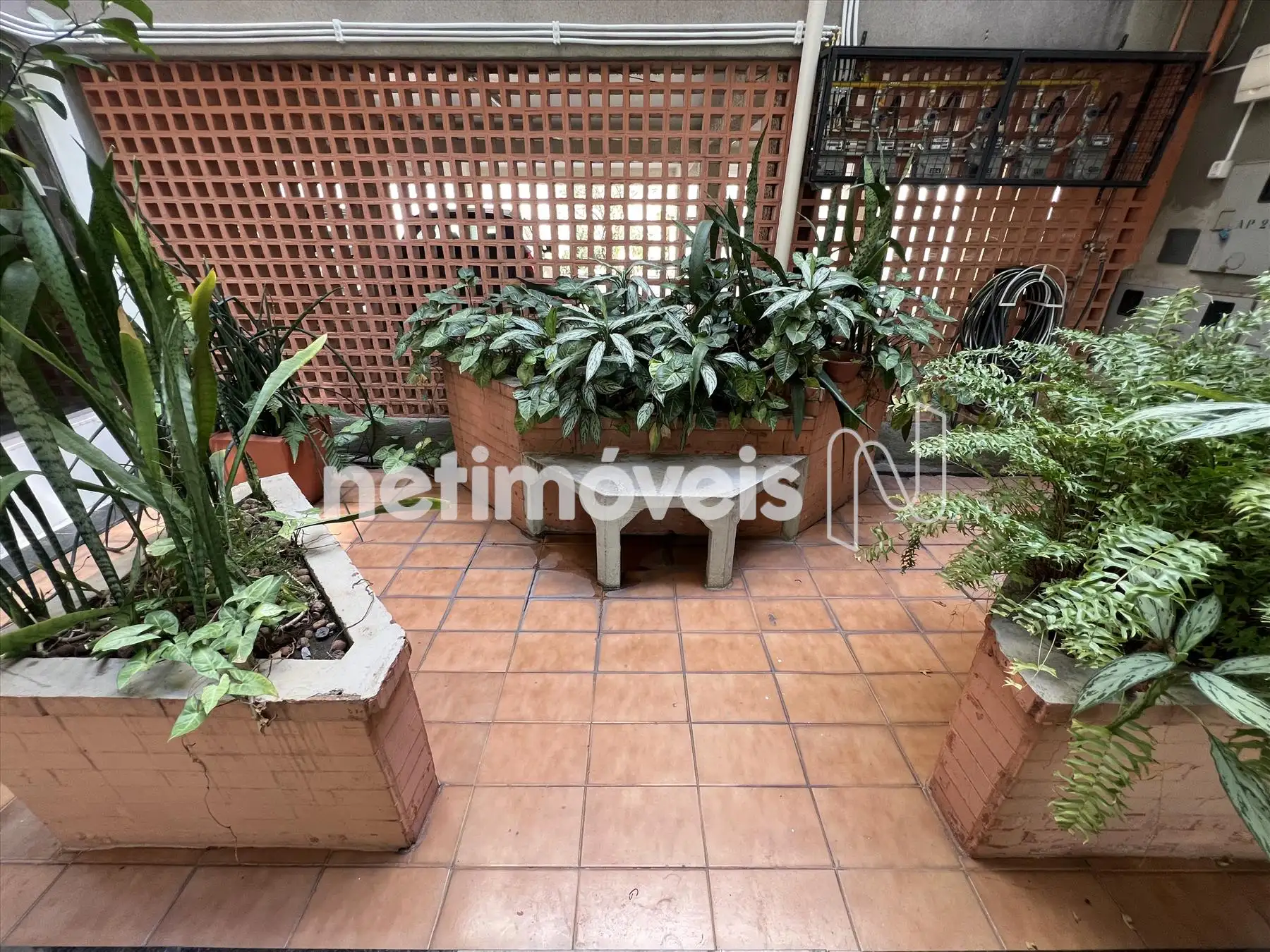 Jardim de inverno