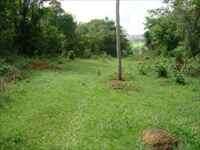 Foto 05