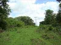 Foto 06