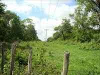 Foto 07