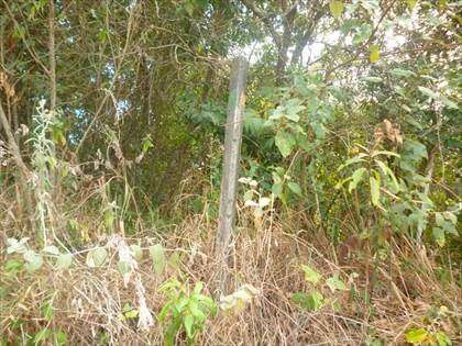 Lote de 1015m²