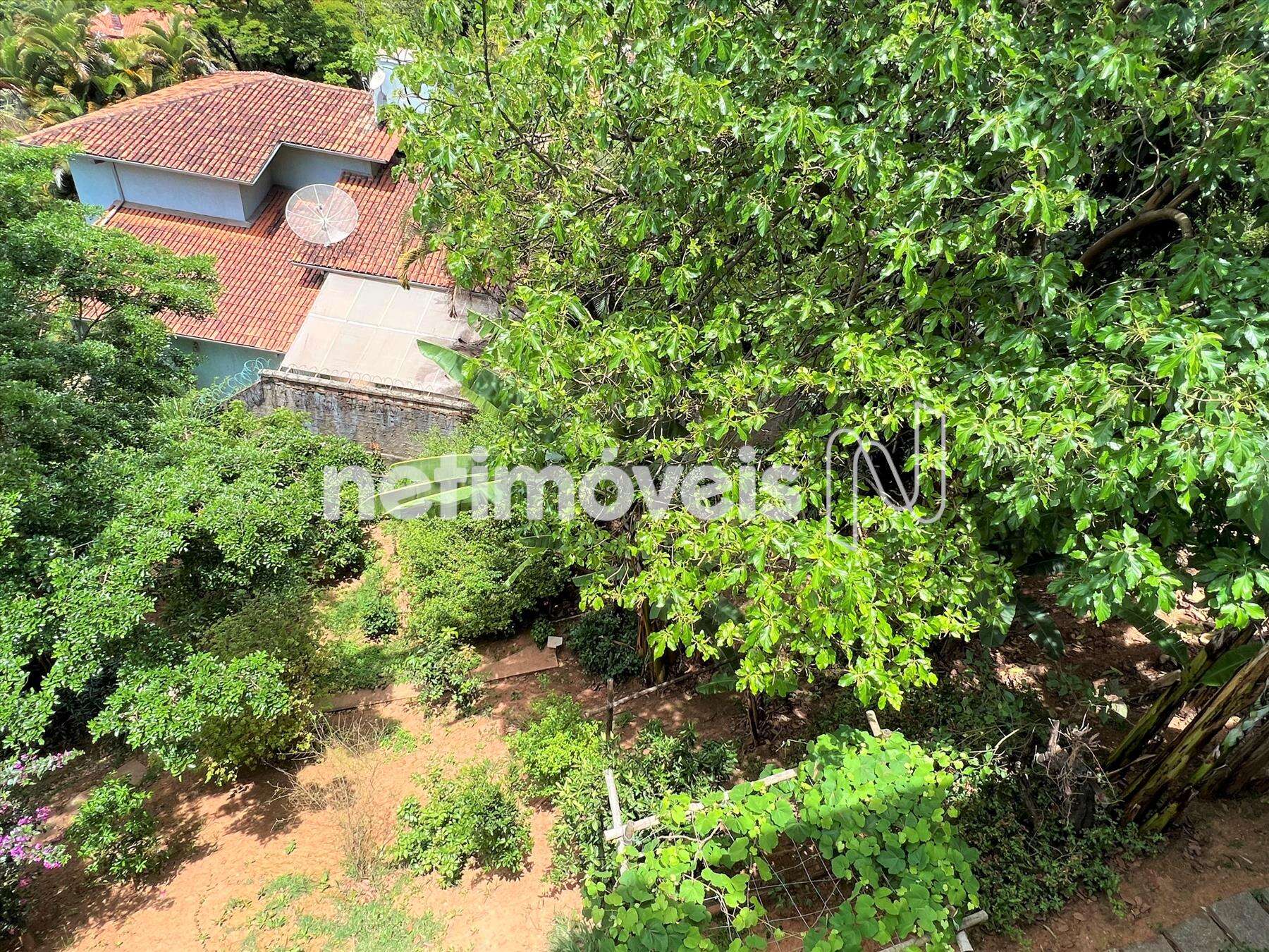 Pomar/canteiro de temperos