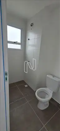 Suíte