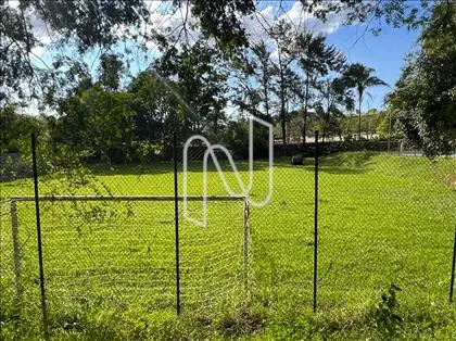 Campo de futebol com grama natural