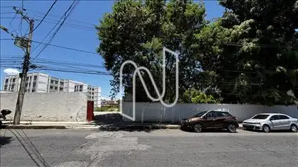  LOTE 